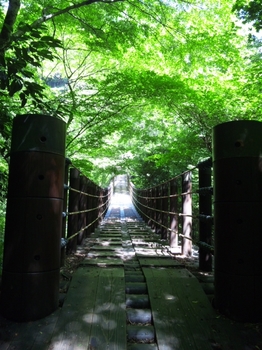 汐見滝吊り橋.jpg